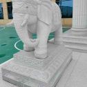 杭州 白麻花岗岩动物异形石雕-大象